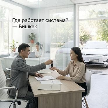 такси по кыргызстану: Автопарк под управление: пассивный доход с машин в аренде - Запуск — 4