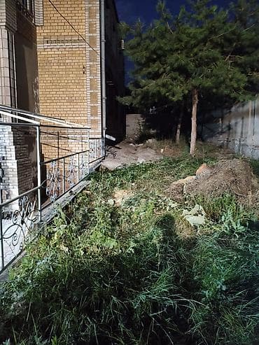 пеньки купить: Услуги по спилу и распилу деревьев с уборкой территории. На фото — 2