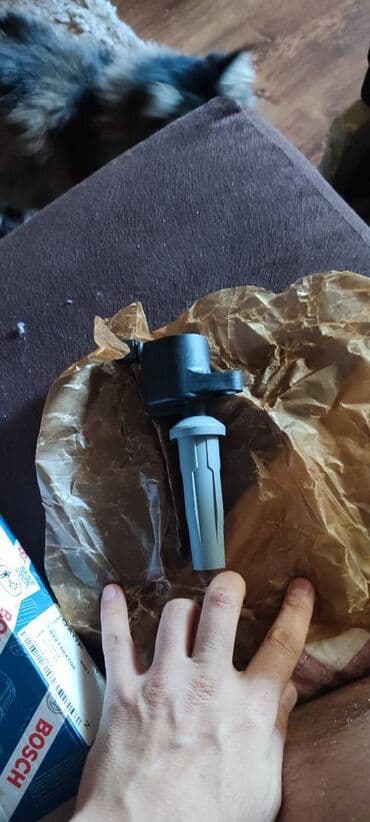 антикоррозийное покрытие: Катушка зажигания Ford 2017 г., Новый, Аналог — 1