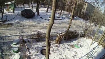 ip камеры 1.2 мп wi fi камеры: Wi-Fi камера с Сигнализацией! С детектором движения на людей с — 10