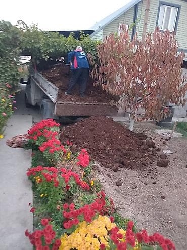 трава для животных: Продаю перегной хорошего качества многолетний без мусора а также — 4