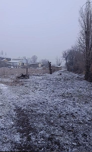 Жер тилкелери: 8 соток, Айыл чарба үчүн, Кызыл китеп — 2