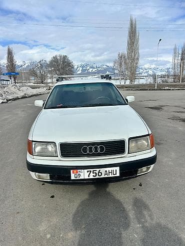 Audi 100: 1992 г., 2.3 л, Ручные, Бензин, Седан
