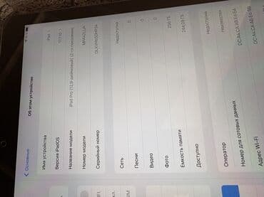 Модемдер жана тармак жабдуулары: Планшет, Apple, эс тутум 256 ГБ, 12" - 13", 4G (LTE), Колдонулган, Классикалык түсү - Боз — 5
