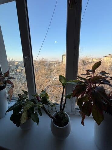 на ипотеку: 2 комнаты, 45 м², Индивидуалка, 4 этаж, Косметический ремонт — 10