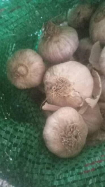 стенка из 5 шкафов: Чеснок Оптом, Самовывоз, Платная доставка — 2