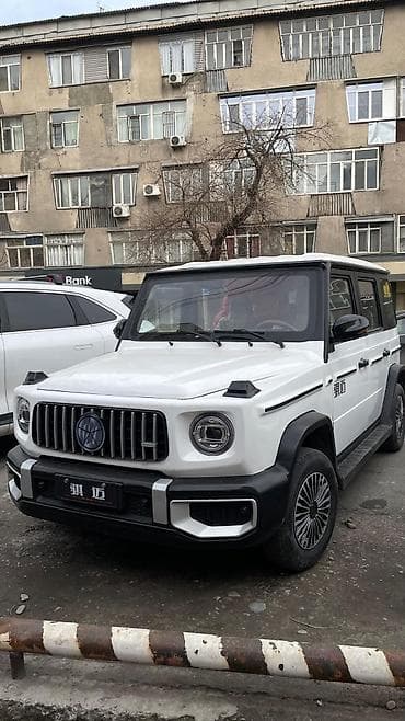 JMEV: JMEV : 2026 г., Автомат, Электромобиль, Кроссовер — 2