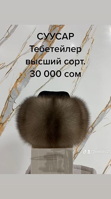 Шапка, Соболь, Зима