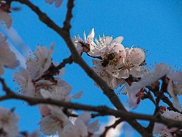 insta x3: Зеркальная фотокамера Sony α550 с комплектным объективом и — 8