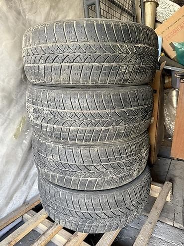 r 16: Шины 205 / 55 / R 16, Всесезонная, Б/у, Комплект, Легковые, Германия, Tigar — 1