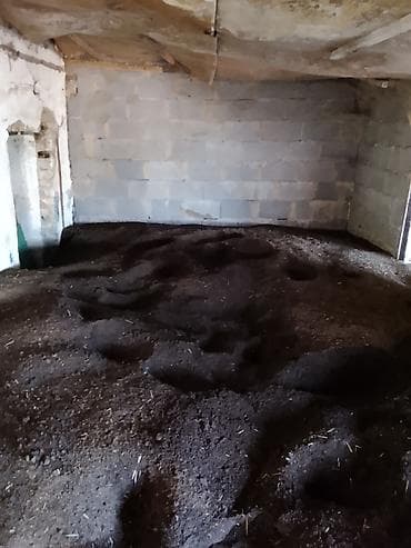 Перепревший органический компост (насыпью) - Натуральное удобрение