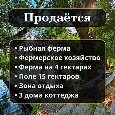 Рыбное хозяйство, 400 соток, Действующий, С оборудованием, Электричество, Скважина, Холодная вода
