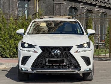 шины r16c: Lexus NX: 2019 г., Автомат, Кроссовер — 2