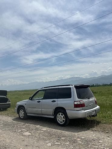 полировка для авто: Subaru Forester: 2002 г., 2 л, Механика, Бензин, Универсал — 6