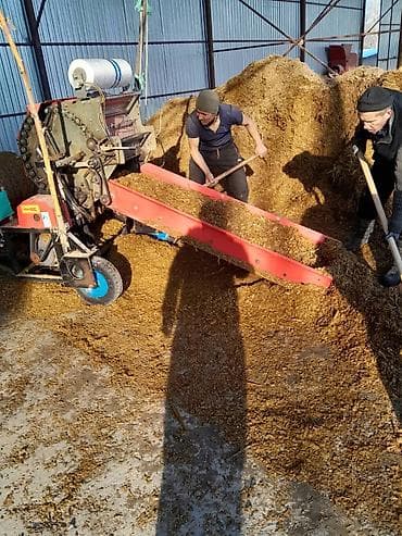 кукурузный силоз: Силос в тюках (рулонная упаковка) - Корм для КРС, овец, коз и лошадей — 5