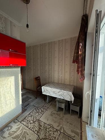 40: 1 комната, Собственник, Без животных — 5