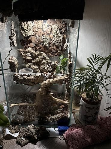 клетки для кроликав: Вертикальный террариум / палюдариум. из стекла для древесных видов — 1