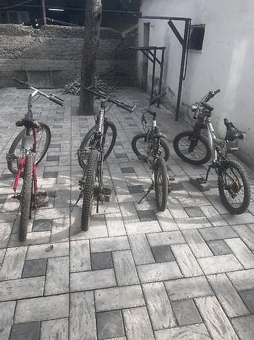 single speed: Велосипеды — 2
