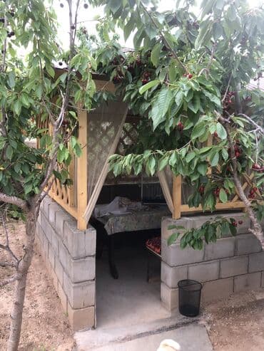 цены на пансионаты в иссык куле: Койко-место, Гостевой дом Сакура 🍒 Каджи-Сай — 21