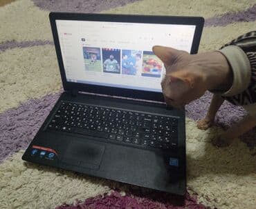 hdd 1 тб для ноутбука: Ноутбук, Lenovo, 2 ГБ ОЗУ, Intel Pentium, 17 ", Б/у, Для несложных задач, память HDD — 1