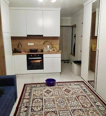 Студия, Риэлтор, Без подселения, С мебелью полностью — 3