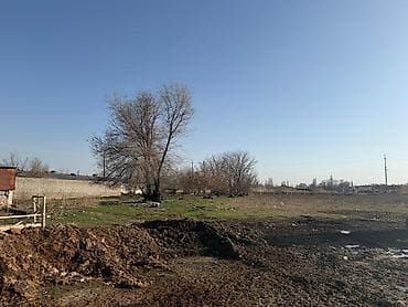 Жер тилкелерин сатуу: 115 соток, Кызыл китеп, Сатып алуу-сатуу келишими — 3