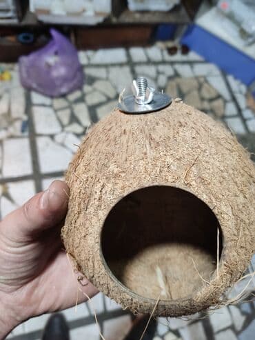 гнёзда: Гнёзда для птиц! — 1