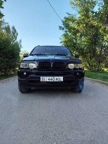 BMW X5: 2003 г., 3 л, Автомат, Дизель, Кроссовер
