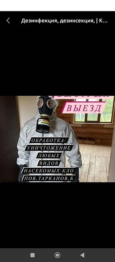 Дезинфекция, дезинсекция, | Муравьи, | Квартиры