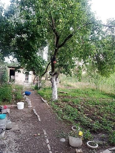 дом с речкой: Продаёотся дом за наличные — 5