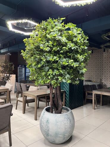 шкаф для одежды новый: 🌿 Мы — Mayram Decor KG, ваш надежный партнёр в создании эффектных и — 26