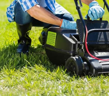 сколько стоит обучение на маникюр: Сделали ландшафтный дизайн? Нужно поддерживать его в идеальном — 1