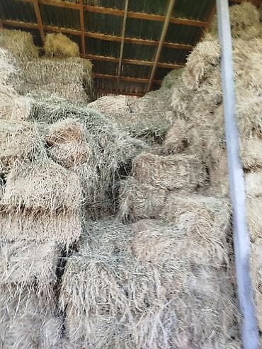 продаю опилку: Сено в тюках - Заготовка в тюках прямоугольной формы, стандартного — 3