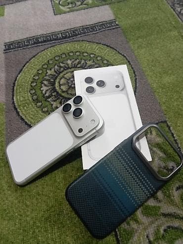 can bus: IPhone 17 Pro, Б/у, 256 ГБ, Белый, Защитное стекло, Чехол, Кабель, 100 % — 3