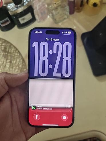 IPhone 15 Pro, Natural Titanium, Чехол