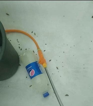 Клининг кызматтары: Таракан дезинфекция хлоп дезинфекция курт дезинфекция кумурска — 5