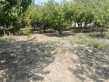 Земельные участки: 4 соток, Для строительства, Договор купли-продажи — 2