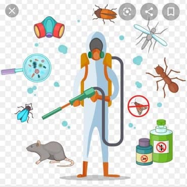 уничтожение клоп блох: Дезинфекция!!!любой сложности (*❛‿❛)→Приемлемая цена (*❛‿❛)→Качество — 5