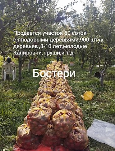 Земельные участки: 60 соток, Для сельского хозяйства, Красная книга — 1