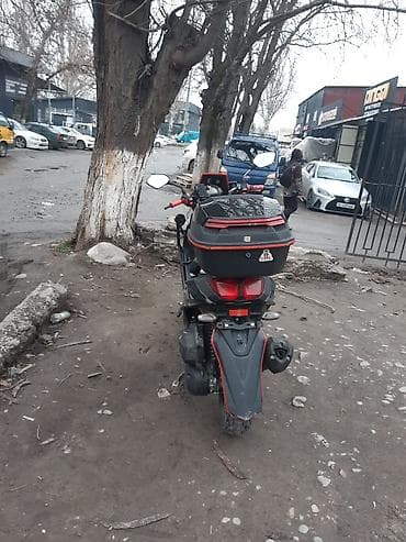 сколько стоит альфа: Тип скутера Alpha, 150 куб. см, Бензин, Б/у — 3