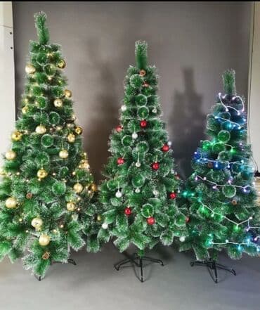 терек көчөт: Ёлка — 1