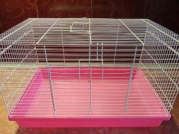 клетки для хомяков бишкек: Клетки для мелких грызунов и не только — 7