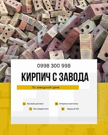 m100: Пустотелый, дырчатый, Жженый кирпич, Полублок, 250×120×90 — 1