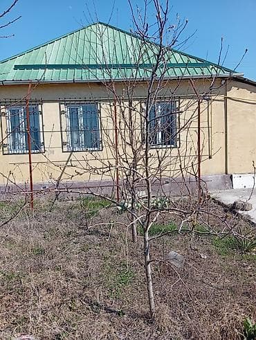 продаю дом с манас: Продаётся частный дом с участком и крытым двором. - Дом одноэтажный — 3