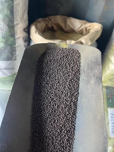 кара джигач: Беде Урук Беде Урук Семена люцерны. Малга тоют. 6жылдык беде — 7