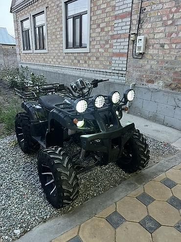 124 панель: Квадроцикл 4x2, утилитарный класс - Двигатель одноцилиндровый — 1