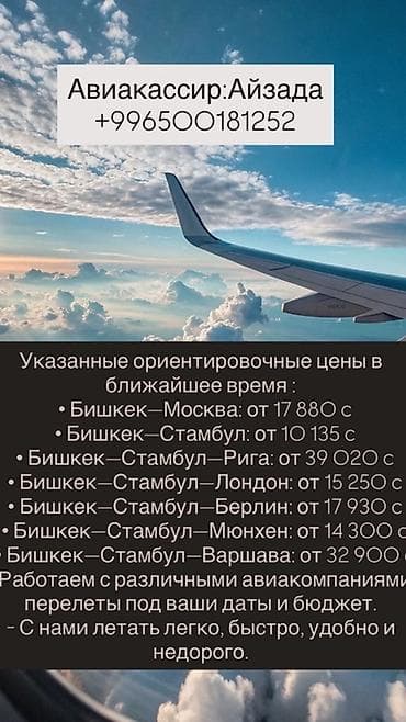 билет москва бишкек: Авиабилеты по всем направлениям. - Вылеты по Кыргызстану: Бишкек, Ош — 4
