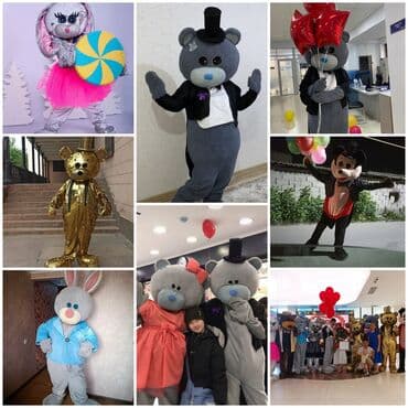 Чоң куурчак, Жаныбар, Тедди