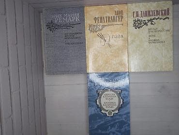 анатомия: Продаю разные книги. Идиот - 500 с Тоби Грин Инквизиция - 350 с — 4