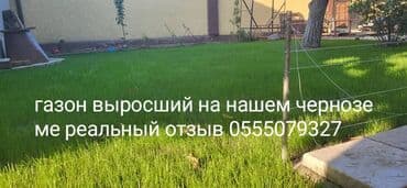 В мешках, Самовывоз, Бесплатная доставка, Платная доставка, Портер